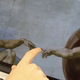 Post Thumbnail