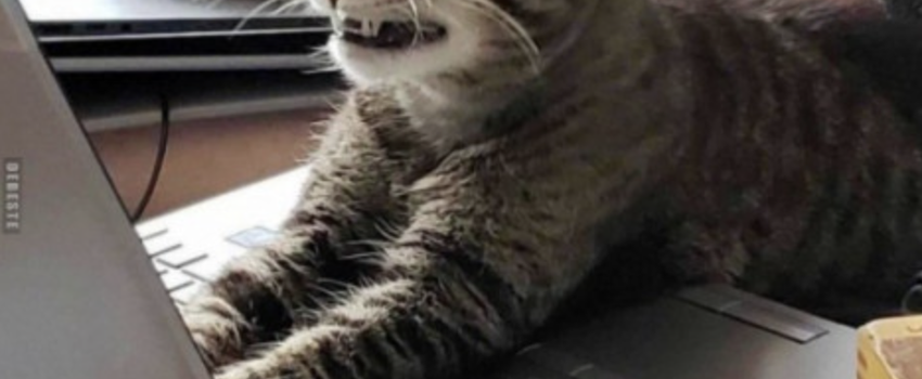 Post Thumbnail